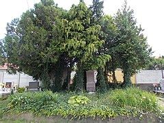 Category:German war graves in Hungary - Wikimedia Commons