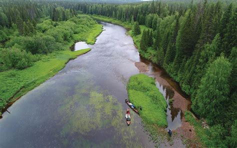 A new reserve keeps a Russian forest intact | Magazine Articles | WWF