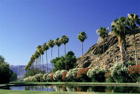 Tourism: Palm Springs California