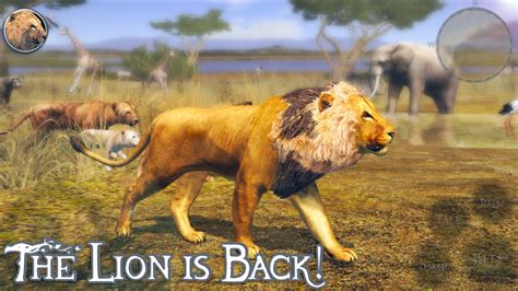 Ultimate Lion Simulator 2, Lion VS Elephant, leopard, Cheetah and More ...