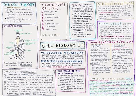 ramen advice — IB Biology: Chapter 1.1 and 1.2 notesss! put a...