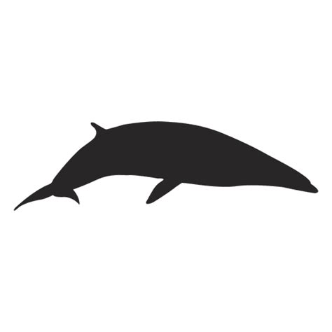 Whale silhouette - Transparent PNG & SVG vector file