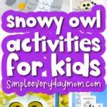 7 Cool Snowy Owl Activities For Kids