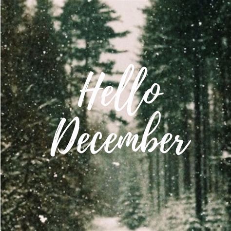 Pin by Curtis Randall on Hello December | Hello december, December ...