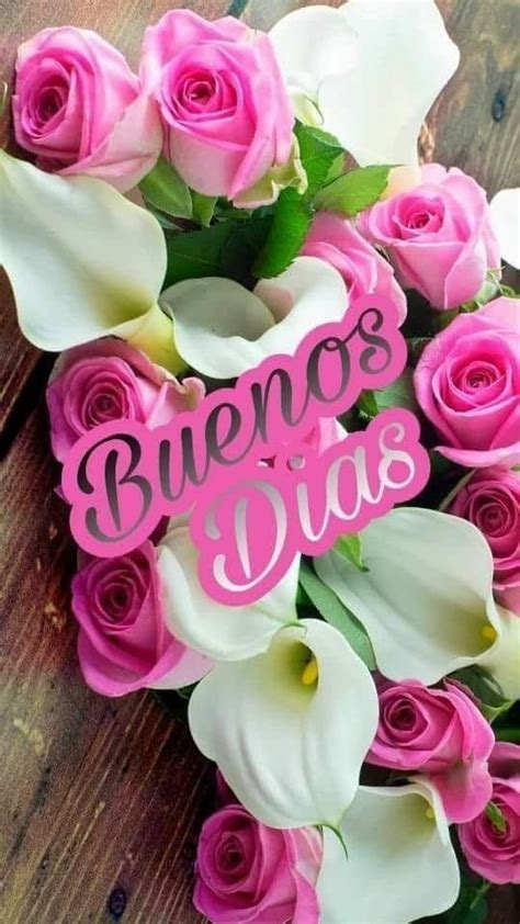 Pin de rene en buen día buena noche | Buenos dias con flores, Saludos d ...