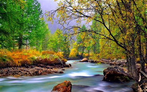 Mountain River With Rocks Rocks Yellowed Grass Evergreen And Deciduous Trees Beautiful Hd ...