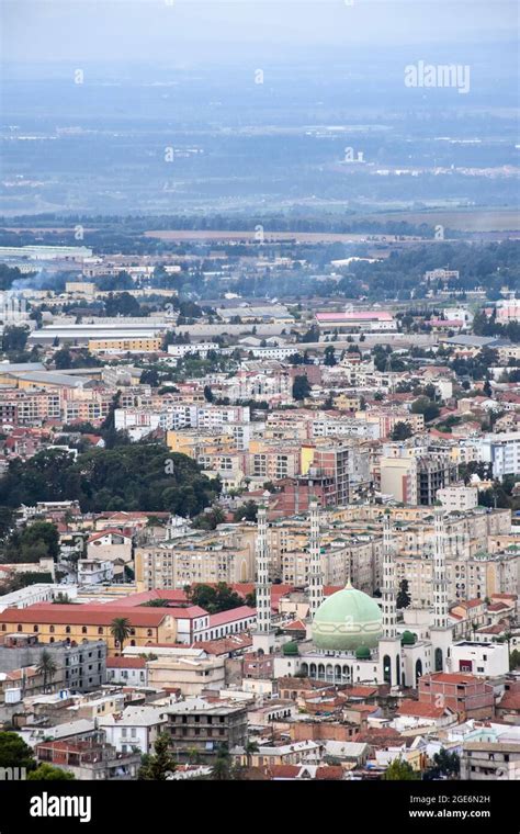 Aerial view of mosque in Blida city from Chrea National Park, Algeria Stock Photo - Alamy