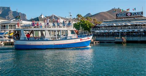 Cape Town: 30 Minute Harbour Boat Cruise with Seal Watching | GetYourGuide