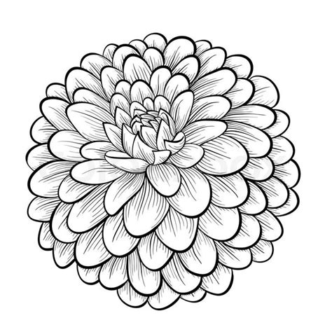 Mexican Flowers Drawing at GetDrawings | Free download