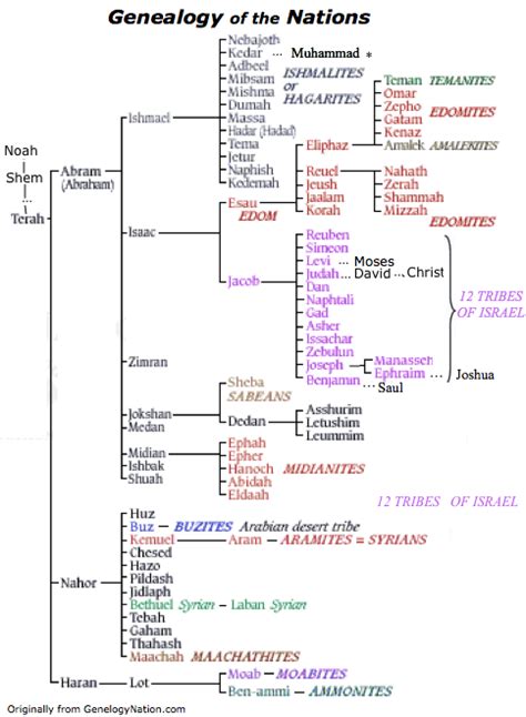 Abraham's Lineage - Bible Genealogy | Bible genealogy, Revelation bible study, Bible study