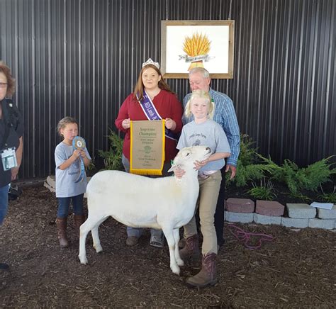 Katahdin | Maryland Sheep and Wool Festival