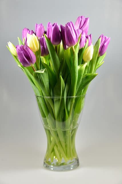 Flower Vase Tulips Bouquet - Free photo on Pixabay