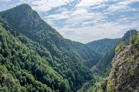 Private Hiking Tour in the Carpathian Mountains from Paltinis - Just Visit