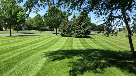 Lawn Care Services – Precision Landscaping & Construction Inc.