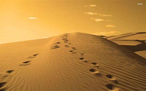 Footprints In The Sand Wallpapers - Wallpaper Cave