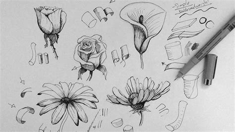 Free Drawing Of Flowers, Download Free Drawing Of Flowers png images ...