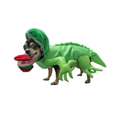 Iguana Dog Halloween Costume | BaxterBoo