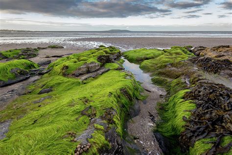 Malahide beach Photograph by Jason Mac Cormac - Fine Art America