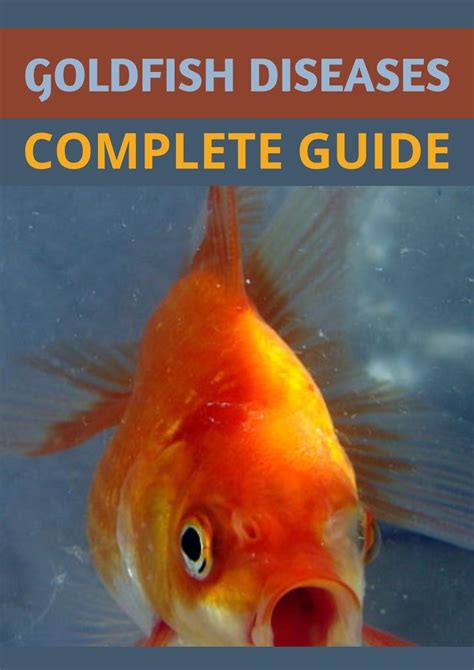 GOLDFISH DISEASES – COMPLETE GUIDE Fish Care, Goldfish, Complete Guide ...