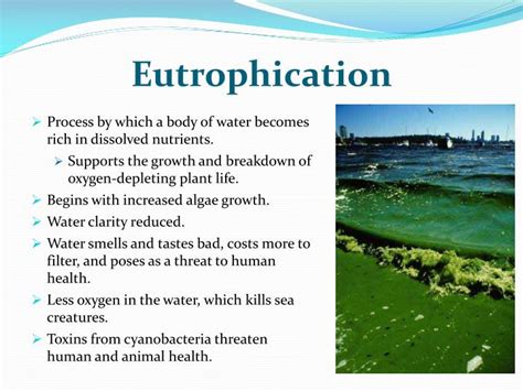 PPT - Agricultural Runoff PowerPoint Presentation - ID:5998042