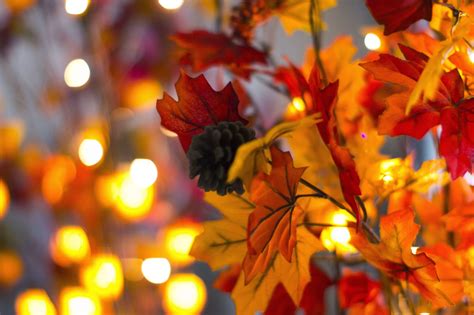 A Photographer's Life: Autumn Lights