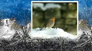 Chet Atkins "Snowbird" Chords - Chordify