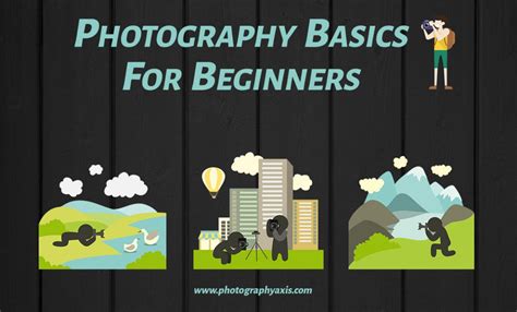 Photography Basics for Beginners- Ultimate Guide - PhotographyAxis