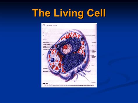 The Living Cell