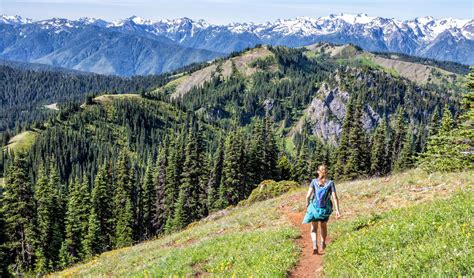 17 Great Hikes in Olympic National Park (+ Map & Photos) – Earth Trekkers