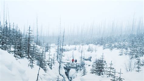 Kootenay National Park Winter Location Scouting | Film & Forest BC and ...