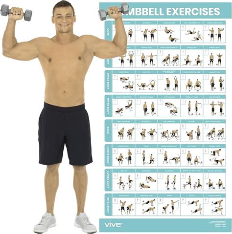 Vive Dumbbell Exercise Poster - Home Gym Workout for Upper, Lower, Full Body - Laminated ...