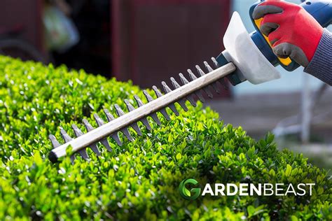 Best Cordless Hedge Trimmer Reviews 2024: Complete Buyer's Guide