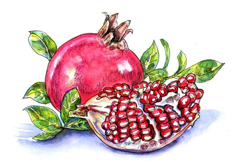 Holiday Fruit ~ Doodlewash®