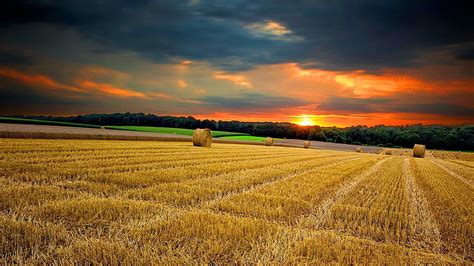 HD wallpaper: field, nature, land, wheat, landscape, agriculture, rural ...