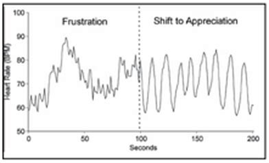 Heart Rate Variability