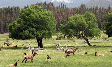 Medicine Bow National Forest & Mountains in Wyoming - AllTrips