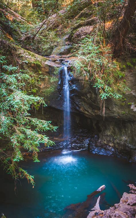 Discover Majestic Waterfalls at Big Basin Redwoods State Park