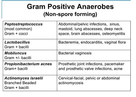 Important Anaerobes - Bacterial Infections - AntiinfectiveMeds.com