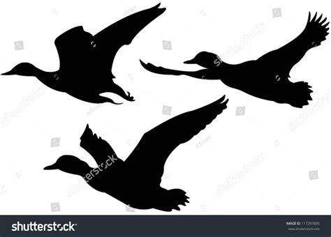 Vector File Of Flying Ducks - 117297895 : Shutterstock