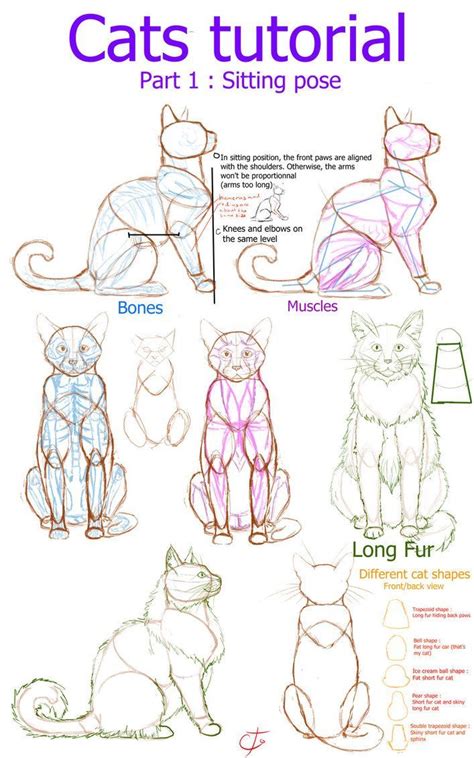 How To Draw A Sitting Cat Step By Step at Drawing Tutorials