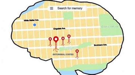 Specific Neurons Are Correlated With Spatial Memory Retrieval - Sciencebeta