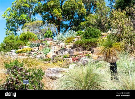 Grass and rocks ground hi-res stock photography and images - Alamy