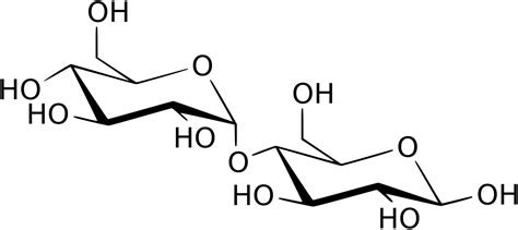 Maltase - Wikipedia