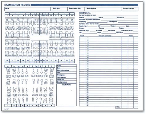 Printable Dental Charting Forms - Printable Forms Free Online