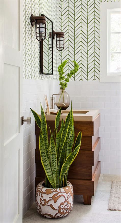 Plants in the bathroom: the cheapest way to decorate