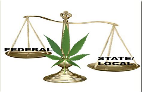 For The State vs Federal #Marijuana Laws - Marijuana Stocks | Cannabis ...