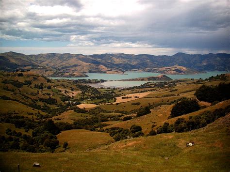 Harbour near Akaroa Free Photo Download | FreeImages