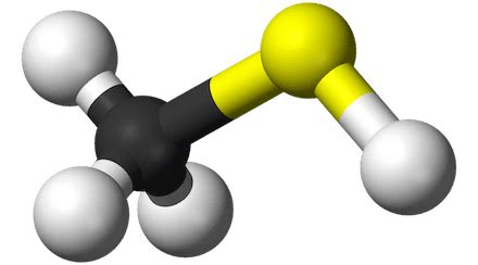 Methyl Mercaptan monitoring | Know all about CH3SH - Oizom