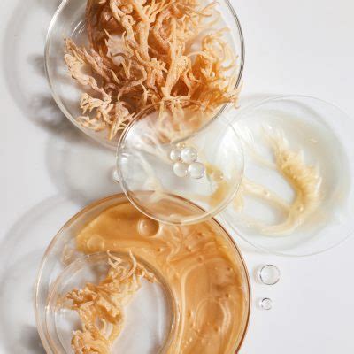 How to Make and Use Sea Moss Face Mask: 5 Easy Steps - Alkaline Vegan Lounge