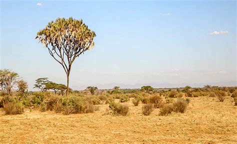 Climate & Geography | Discover Senegal